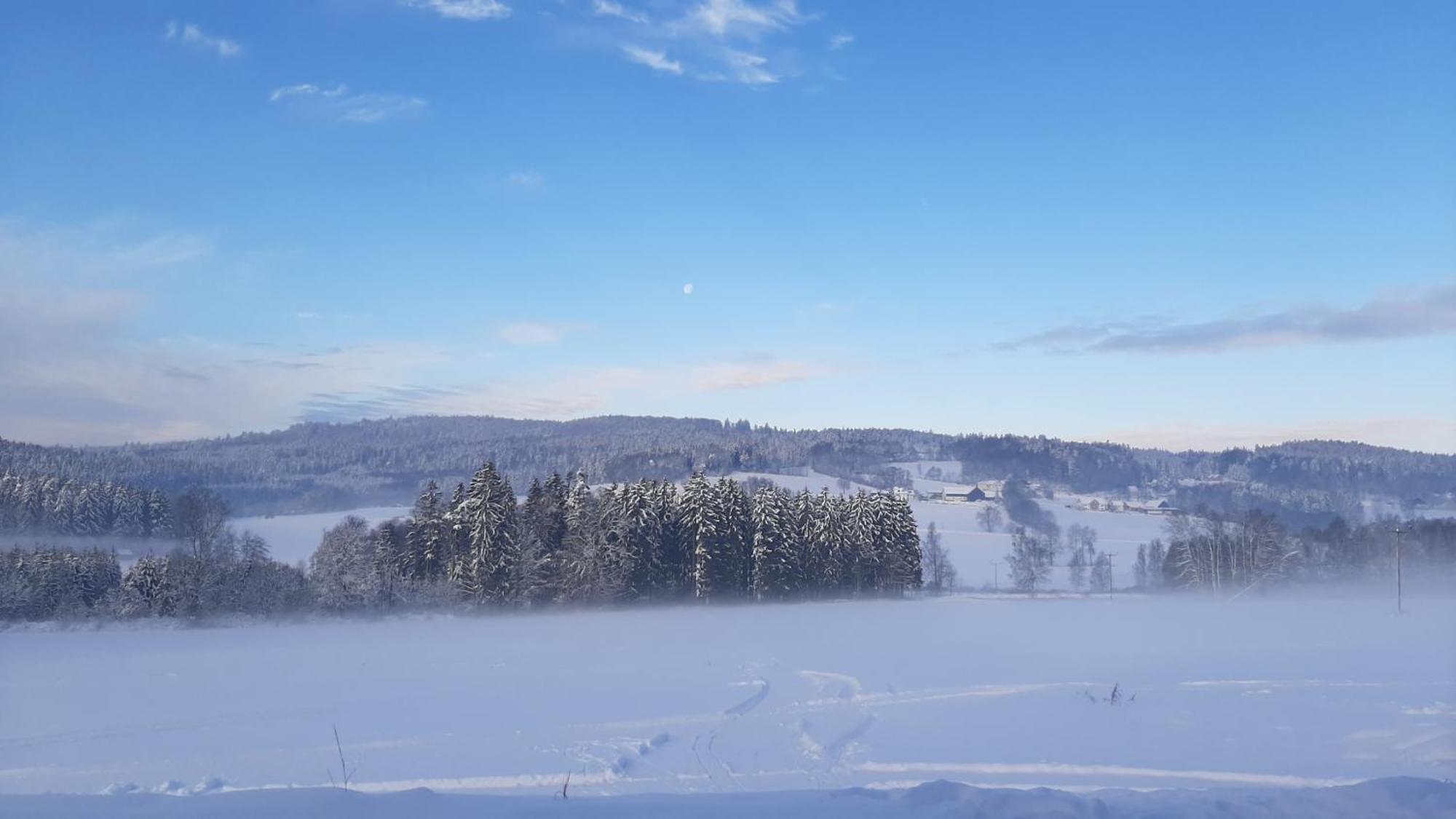 Hotel Zum Bergbauern Waidhaus Zewnętrze zdjęcie